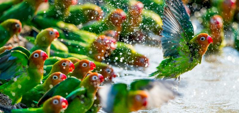 Fiesta en la piscina