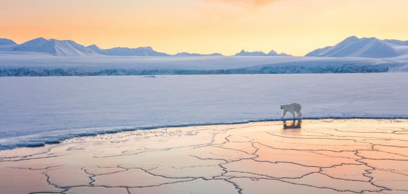 Tierra de nieve y hielo