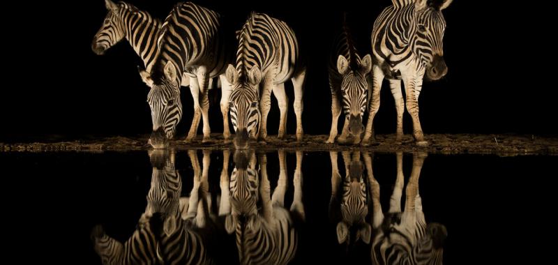 El trago de la noche