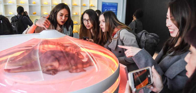 Exposición Jurassic World en Madrid