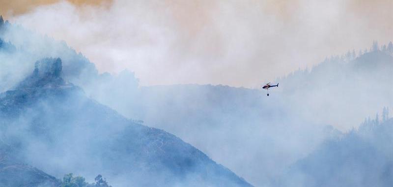 Incendio forestal en Gran Canaria