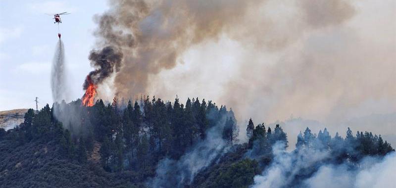 Incendio forestal en Gran Canaria