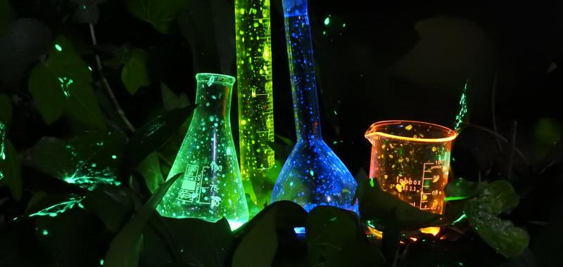 Naturaleza química