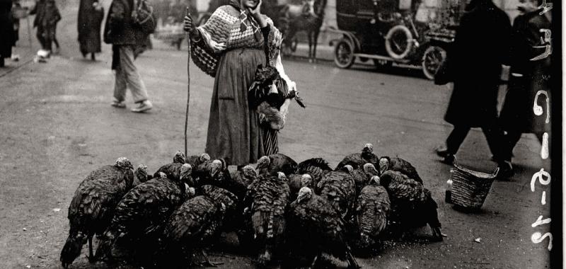 Vendedora de pavos