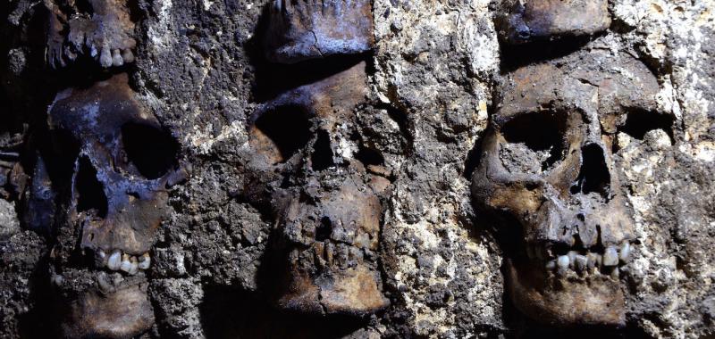 Hallados 119 cráneos en Huei Tzompantli de Tenochtitlan
