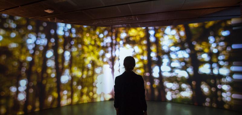 Joanie Lemercier. Paisajes de Luz