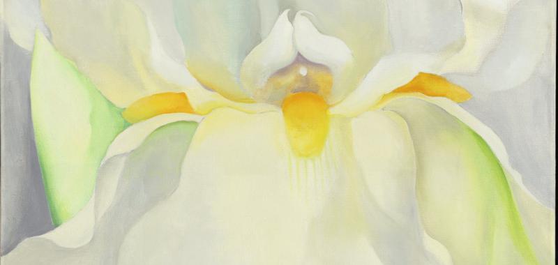 Lirio Blanco nº7, 1957