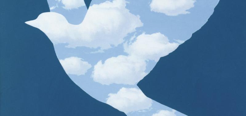 El pájaro de cielo, 1966