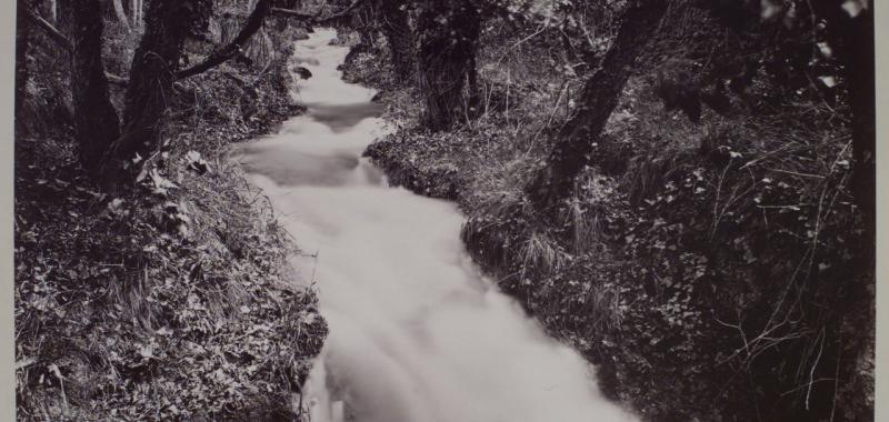 Vista del torrente llamado de los Mirlos, en el Monasterio de Piedra