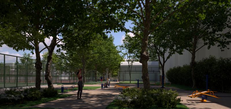 Infografía Milla Canal