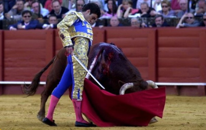 El PP apoya la Fiesta de los Toros como patrimonio cultural | El Imparcial
