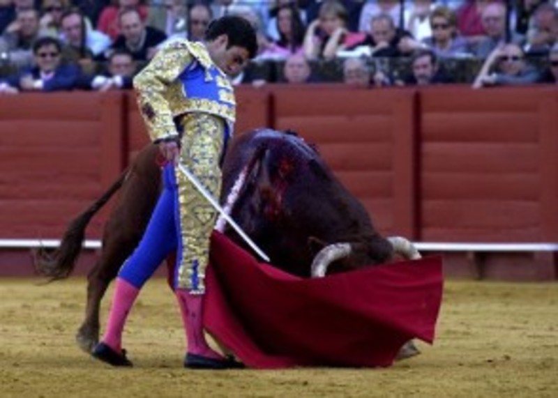 El PP apoya la Fiesta de los Toros como patrimonio cultural | El Imparcial