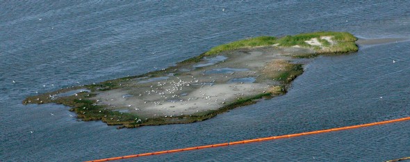 Vertido de crudo en el Golfo de México (Efe)