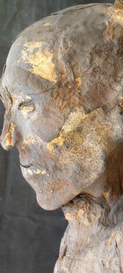 Fotografía de una de las momias que forman parte de la exposición del Museo de Arqueología de Cataluña (Efe)