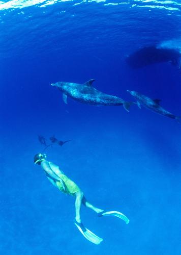 submarinismo