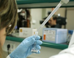 Ningún estudio avala la utilidad de las células madre embrionarias.