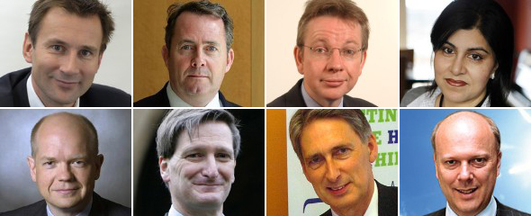 De izquierda a derecha y de arriba a abajo: Michael Gove, Liam Fox, Jeremy Hunt, Sayeeda Warsi, William Hague, Dominic Grieve, Philip Hammond y Chris Grayling.