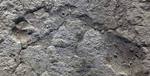 Una de las huellas encontradas por arqueólogos israelíes (Efe)