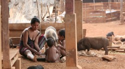 Una familia de la tribu Katu almuerza en su poblado, donde tienen una plantación de cafe, en la meseta Bolaven, al sur de Laos. Las plantaciones de café en Laos surgieron en el siglo XX durante la colonización francesa. EFE/Barbara Walton