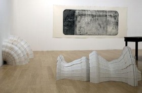 Room of lines de Lucy Skaer, candidata al Premio Turner 2009