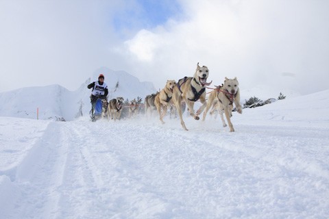 Imágenes cedidas por pirena.com