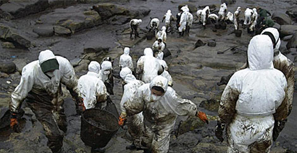 Trabajos de retirada del fuel en las costas gallegas. EFE