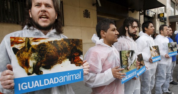 Un grupo de personas de la organización Igualdad Animal, durante la protesta convocada ante la Audiencia Nacional (Efe)