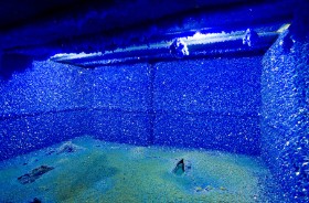 Seizure, de Roger Hiorns. Candidata al Premio Turner 2009