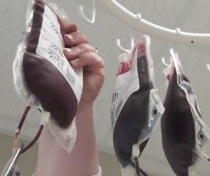 Bolsas de sangre tras varias donaciones.