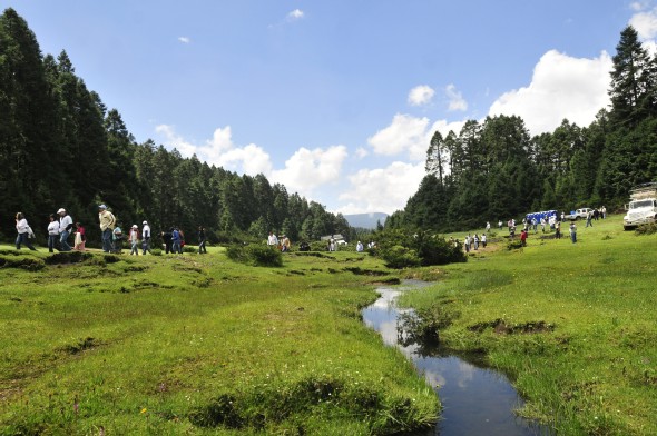 Sierra Chincua, en el estado de Michoacán, México. Efe