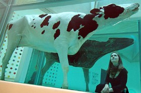 Vaca en formol, de Damien Hirst, ganador de Premio Turner en 1995